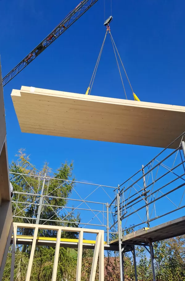 Ausbau Wohnhaus in Doppelschwand mit Truberholzwänden