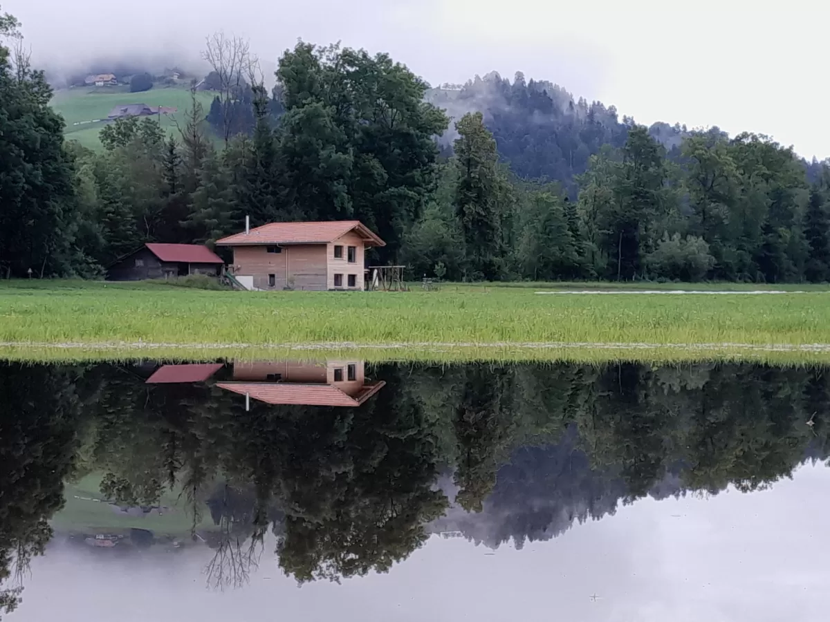 🌲🏡 **Haus am See** 🌧️🌊  Dieses wunderschöne Truberholz-Haus steht eigentlich nicht an einem See. Doch während der Regenzeit hat sich ein See gebildet, der eine malerische Szenerie schafft. 🌧️🏡 Die Spiegelung im Wasser verstärkt die idyllische Atmosphäre und zeigt, wie sehr unsere Häuser sich harmonisch in die Natur einfügen.  Erfahren Sie mehr über unsere nachhaltigen Holzhäuser: 
