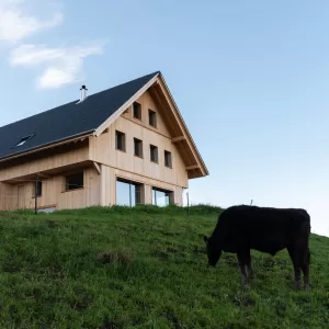 Ersatzneubau Wohnhaus | Truber Holz  Mit Leidenschaft fürs Handwerk und die Natur ist dieses Wohnhaus auf der Basis von Truber Holz entstanden – regional, nachhaltig und zeitlos schön.  Die moderne Architektur fügt sich harmonisch in die sanfte Hügellandschaft ein. Innen wie außen spürt man die Wärme und Beständigkeit des einheimischen Holzes.  Mehr über unsere Projekte und die Kraft des Truber Holzes erfährst du auf:  www.truberholz.ch